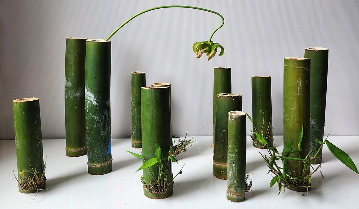 20230521_110659 copy